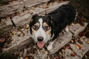 13196 Middlefork Rd, Amanda, OH 43102 - Photo 86