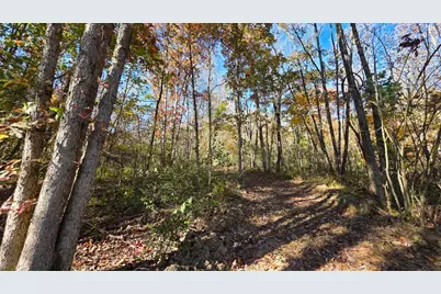 7705 Township Road 216 SE #(Woodview Cabin Scenic Trails), Corning, OH 43730 - Photo 52