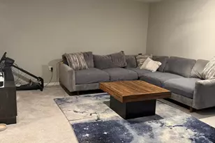 346 Shadbush Dr, Blacklick, OH 43004 - Photo 20