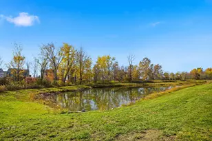 8197 Narrow Leaf Dr, Blacklick, OH 43004 - Photo 46