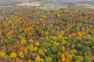 6054 Township Road 183, Cardington, OH 43315 - Photo 44