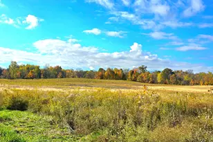 6054 Township Road 183, Cardington, OH 43315 - Photo 22