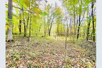 6054 Township Road 183, Cardington, OH 43315 - Photo 10