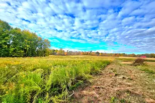 6054 Township Road 183, Cardington, OH 43315 - Photo 8