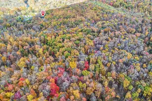 14220 State Route 772, Chillicothe, OH 45601 - Photo 74