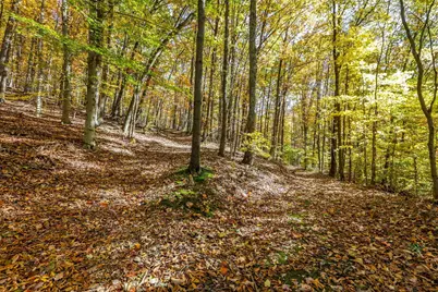 14220 State Route 772, Chillicothe, OH 45601 - Photo 46