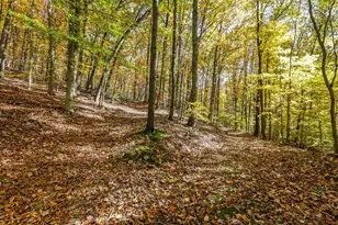 14220 State Route 772, Chillicothe, OH 45601 - Photo 46