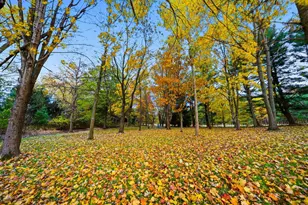 8001 Johnstown-Alexandria Rd, Johnstown, OH 43031 - Photo 42