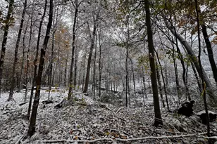 128 Green Springs Dr, Columbus, OH 43235 - Photo 58