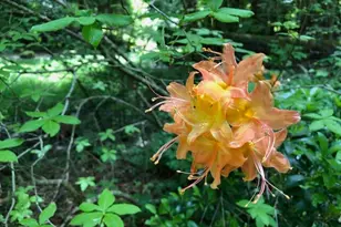 25779 Bailey Rd, Rockbridge, OH 43149 - Photo 86