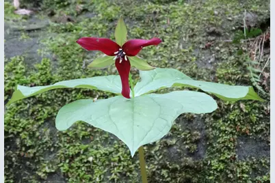 25779 Bailey Road, Rockbridge, OH 43149 - Photo 10