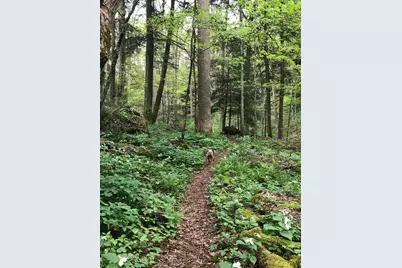 25779 Bailey Road, Rockbridge, OH 43149 - Photo 12