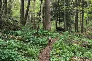 25779 Bailey Rd, Rockbridge, OH 43149 - Photo 12