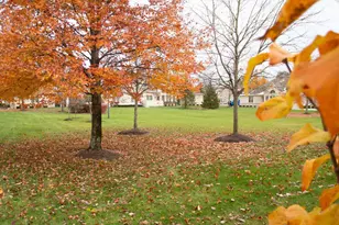 110 Ironclad Dr, Columbus, OH 43213 - Photo 4