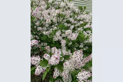 922 Wellsley Way, Plain City, OH 43064 - Photo 42