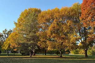 92 E Kennebec Pl E, Westerville, OH 43081 - Photo 22