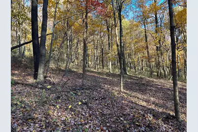 329 Kinzer Road, Bainbridge, OH 45612 - Photo 62