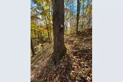 329 Kinzer Road, Bainbridge, OH 45612 - Photo 52