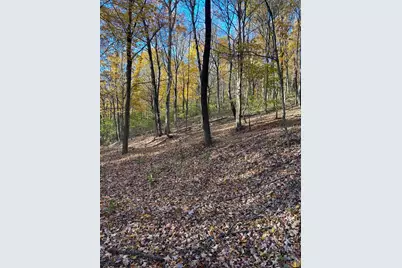 329 Kinzer Road, Bainbridge, OH 45612 - Photo 60