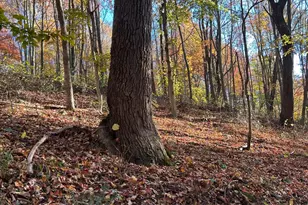 329 Kinzer Rd, Bainbridge, OH 45612 - Photo 56