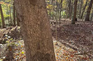 329 Kinzer Rd, Bainbridge, OH 45612 - Photo 46