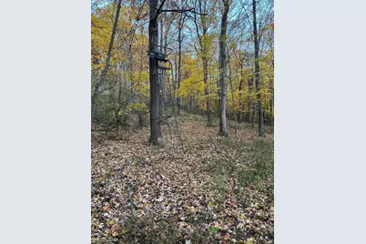 329 Kinzer Road, Bainbridge, OH 45612 - Photo 72