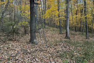 329 Kinzer Rd, Bainbridge, OH 45612 - Photo 72