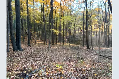 329 Kinzer Road, Bainbridge, OH 45612 - Photo 70