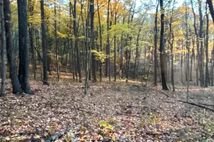 329 Kinzer Rd, Bainbridge, OH 45612 - Photo 70