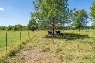 963 Pratt Rd, Blanchester, OH 45107 - Photo 24