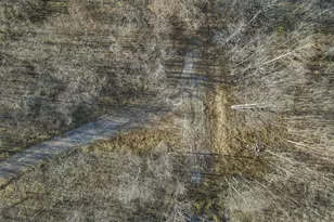 63993 Woodgeard Rd, Creola, OH 45622 - Photo 42