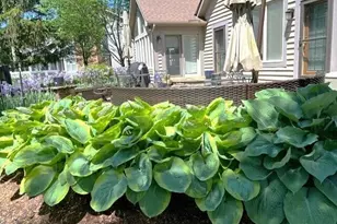 211 Crossing Creek N, Gahanna, OH 43230 - Photo 68