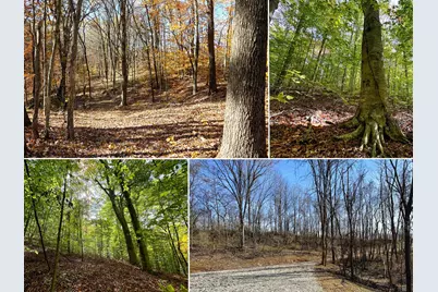 7447 Township Rd 215-A SE #(Tract 6 at Shawnee Woods), Corning, OH 43730 - Photo 1