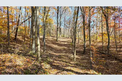 7447 Township Rd 215-A SE #(Tract 6 at Shawnee Woods), Corning, OH 43730 - Photo 2