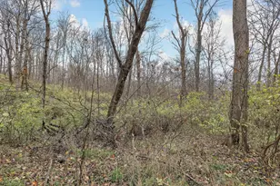 2956 Egypt Pike, Chillicothe, OH 45601 - Photo 70