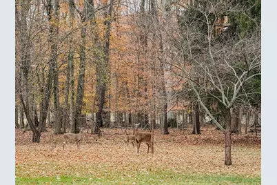7376 State Route 19, Mount Gilead, OH 43338 - Photo 24