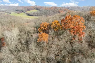 [Address not provided], Frazeysburg, OH 43822 - Photo 44