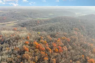 30870 Jug Run Rd, Frazeysburg, OH 43822 - Photo 1