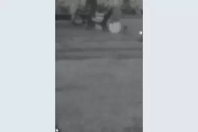 234 Jordan Street, Reesville, OH 45166 - Photo 16