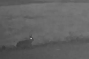 234 Jordan St, Reesville, OH 45166 - Photo 16