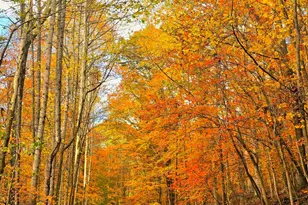 1015 Taos Ln, Hide A Way Hills, OH 43107 - Photo 26