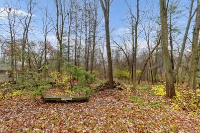 95 Forest Ridge Court, Powell, OH 43065 - Photo 46