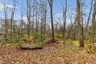 95 Forest Ridge Ct, Powell, OH 43065 - Photo 46