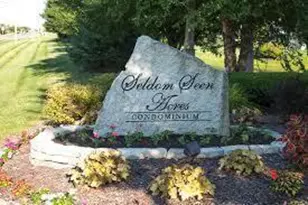 8989 Samari Pl, Powell, OH 43065 - Photo 60