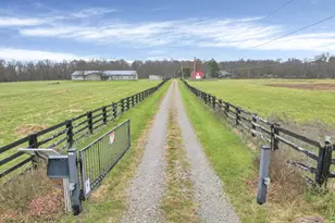 4910 State Route 257, Delaware, OH 43015 - Photo 12