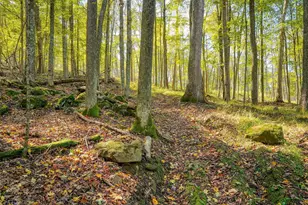 25140 Shurtz Rd, New Plymouth, OH 45654 - Photo 6