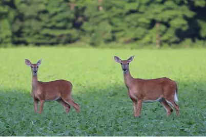 0 Chatham Road, Newark, OH 43055 - Photo 6