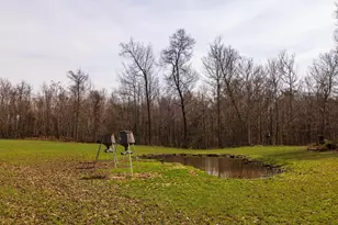 18999 River Rd, Athens, OH 45701 - Photo 44