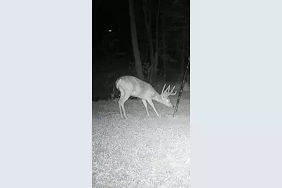 18999 River Road, Athens, OH 45701 - Photo 74