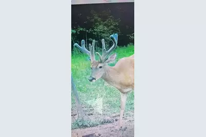 18999 River Road, Athens, OH 45701 - Photo 60